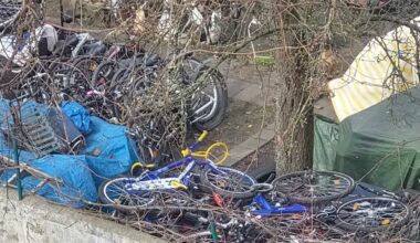 Gammel-Gelände hinter Wohnhäusern Wartburgstraße aufgeräumt