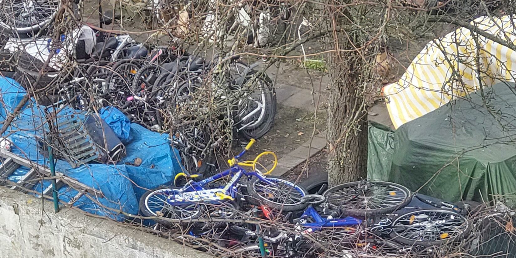 Gammel-Gelände hinter Wohnhäusern Wartburgstraße aufgeräumt