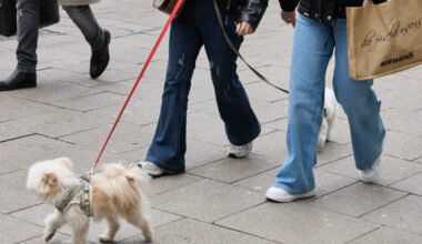 Wo Sie am 11. Mai shoppen können