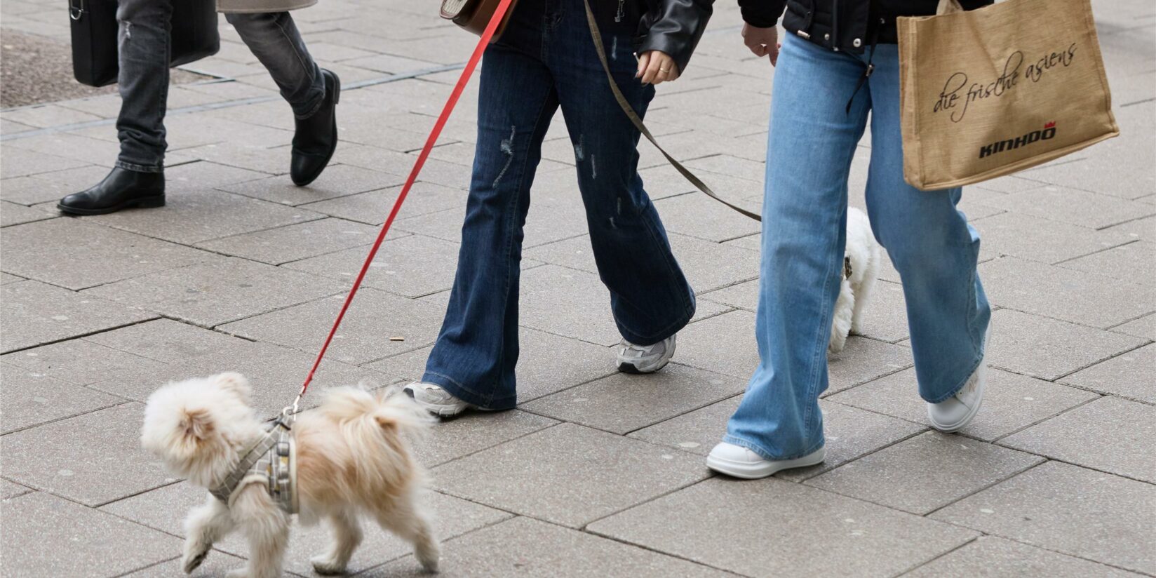 Wo Sie am 11. Mai shoppen können