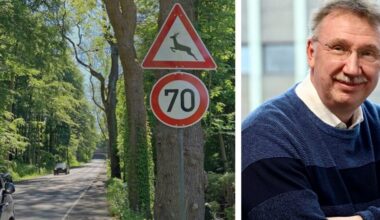 Wildunfälle häufen sich auf einer Straße in Kirchhörde