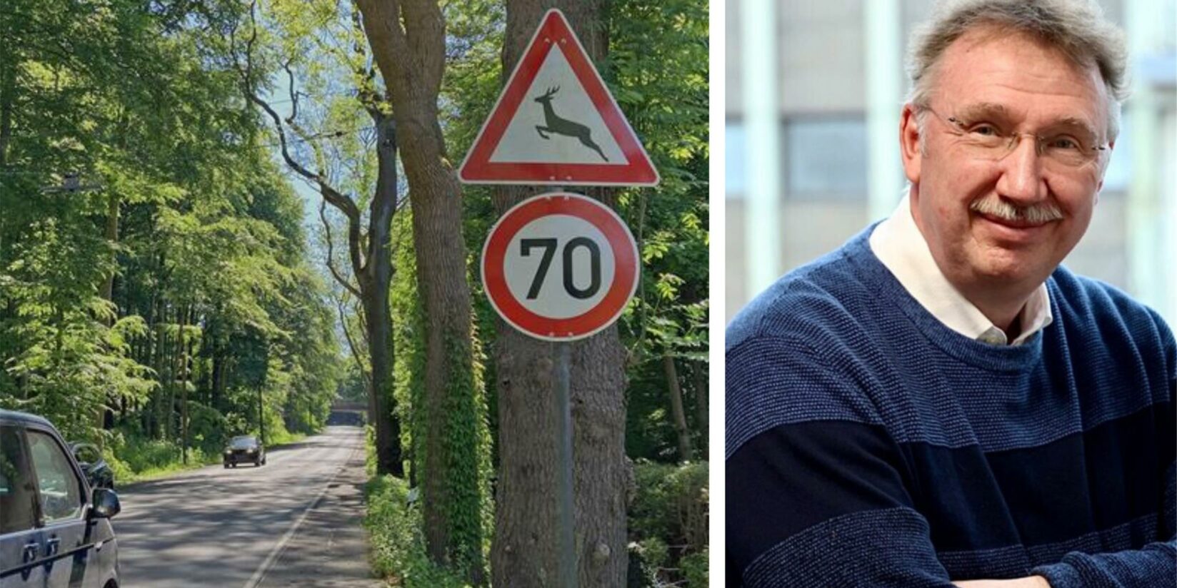 Wildunfälle häufen sich auf einer Straße in Kirchhörde