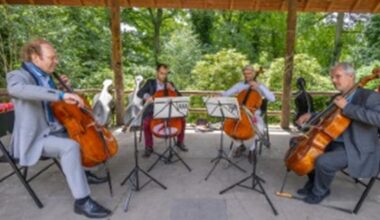 Diese Künstler treten im Rombergpark auf