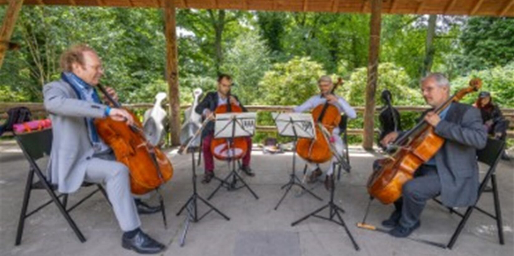 Diese Künstler treten im Rombergpark auf