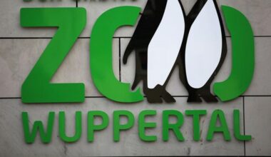 Wuppertal: Protest gegen Zoos - Konflikt mit Influencer