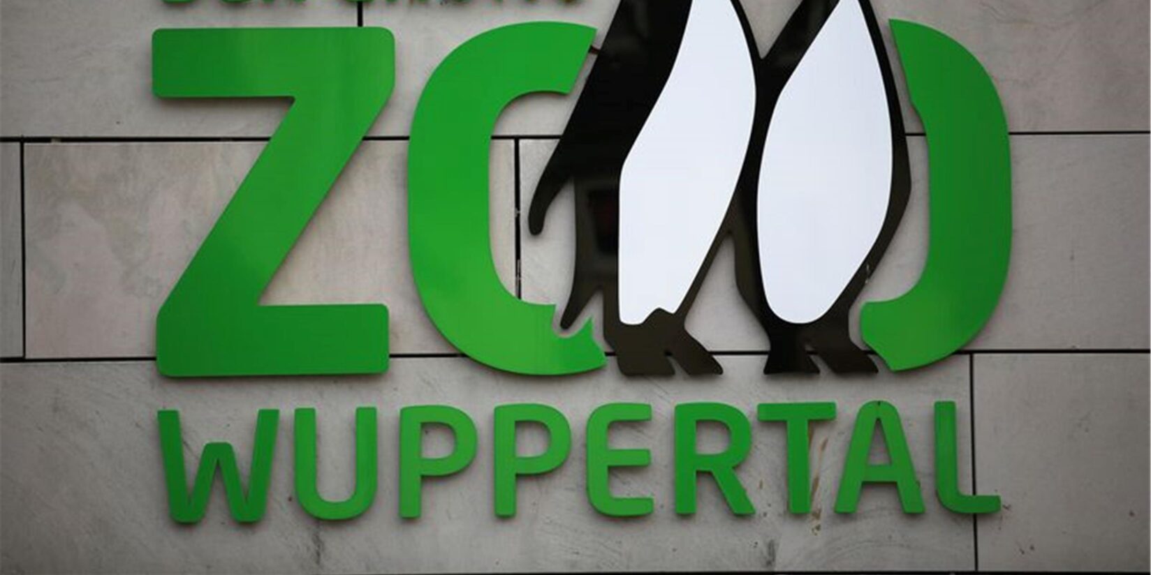Wuppertal: Protest gegen Zoos - Konflikt mit Influencer