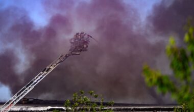 Einsatz in Dresden: Brand auf Wertstoffhof in Dresden