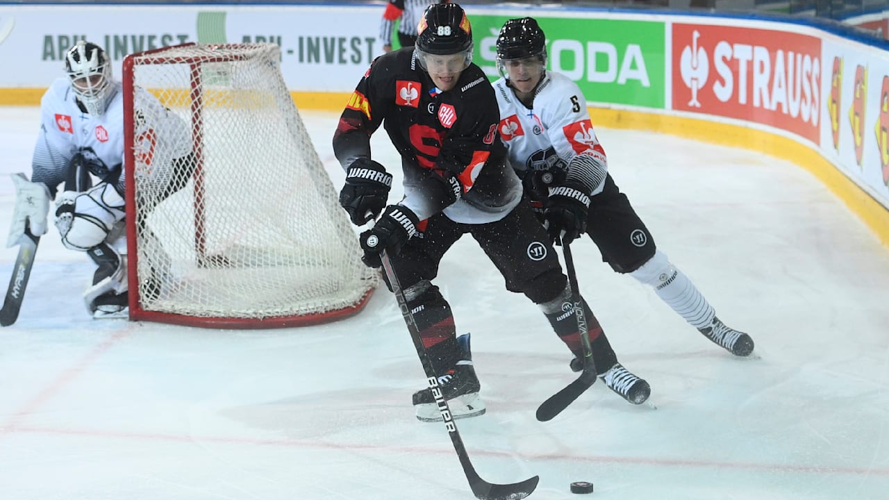 Eishockey: Wahnsinn! Dresden jagt Köln-Goalie und Prag-Star | Sport