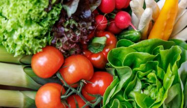 Hersteller von veganen Lebensmitteln ist insolvent | News