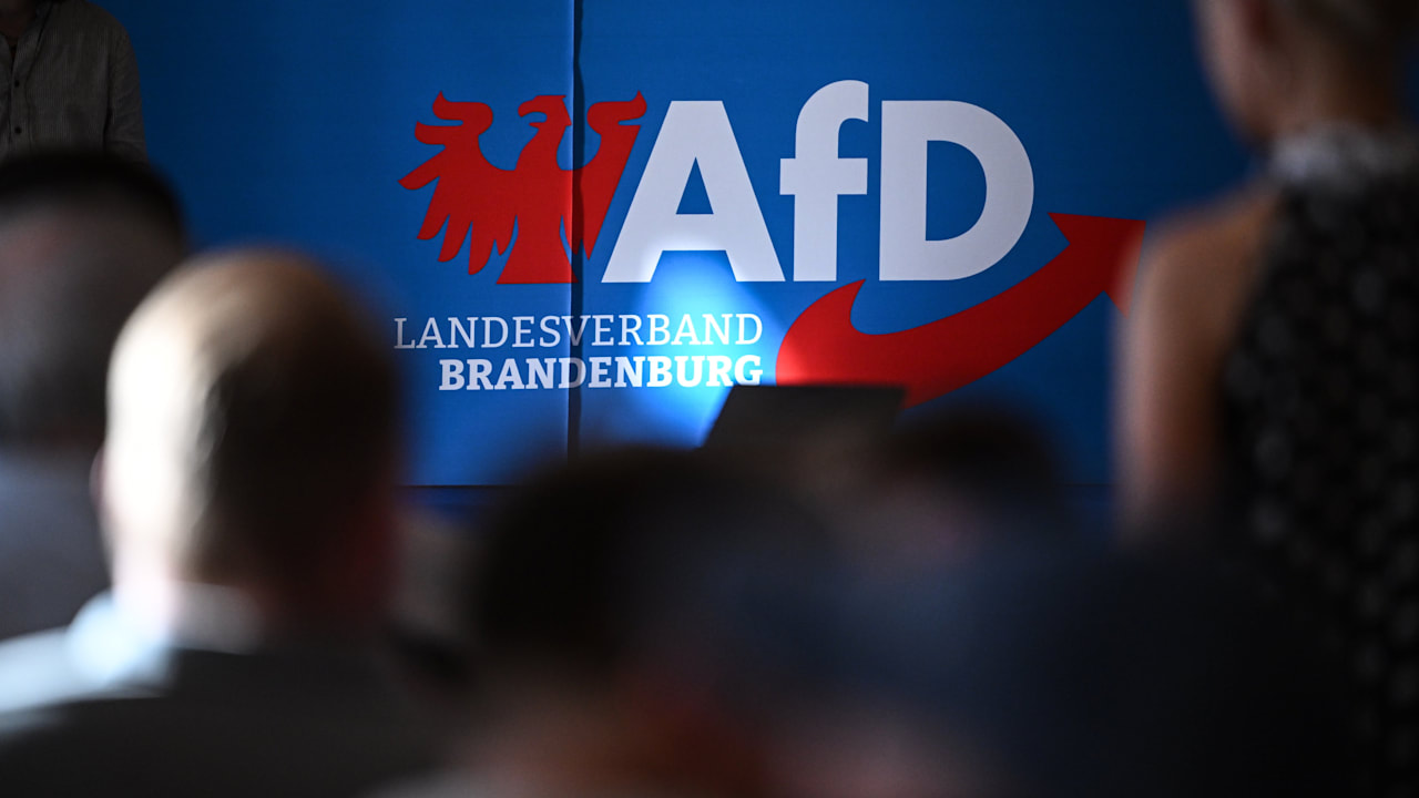Auch Brandenburgs Verfassungsschutz legt AfD-Hochstufung auf Eis | Politik