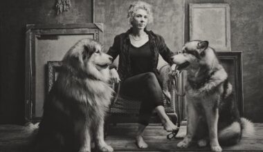 Raphael Guarino im Freyunger Schloss Wolfstein