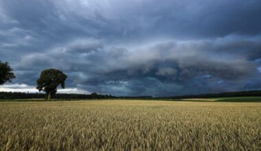 Starkregen und Hagel: Unwetterwarnung für Teile Schwabens