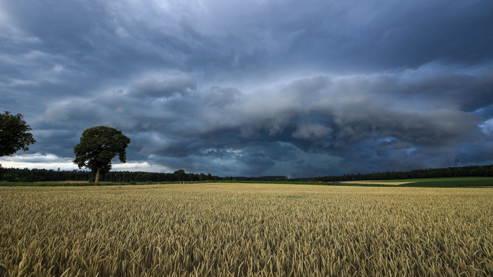 Starkregen und Hagel: Unwetterwarnung für Teile Schwabens