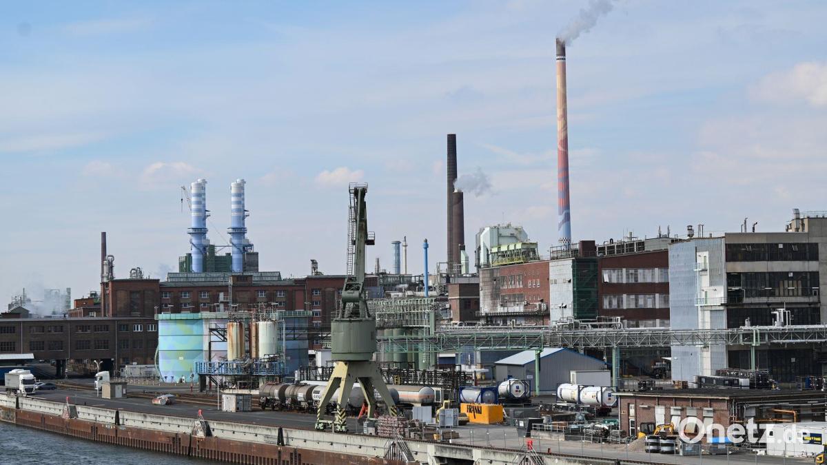 Bayer gibt Standort Frankfurt auf - 500 Jobs betroffen