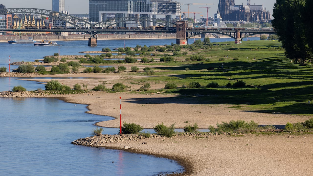 Extremes Niedrigwasser an Donau, Rhein, Elbe: In Deutschland trocknen die Flüsse aus | News