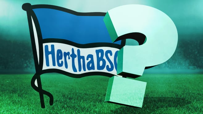 Hertha BSC: Neuer Kandidat nach Hertha-Beben! Wird er der neue Boss? | Sport