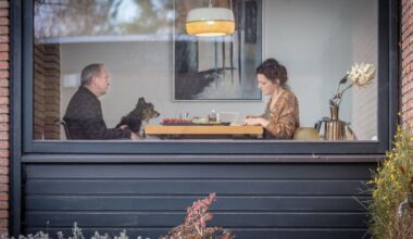 Und wer nimmt den Hund? - Filmkritik - Film