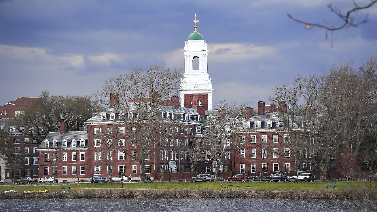 "Das ist es, was sie verdienen!": Trump lässt Steuerbefreiung der Harvard-Universität aufheben