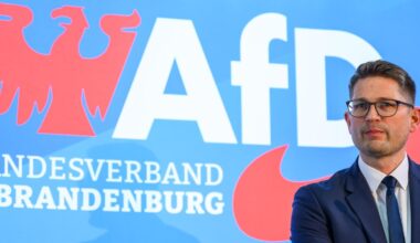 AfD Brandenburg klagt gegen Einstufung als „rechtsextrem“