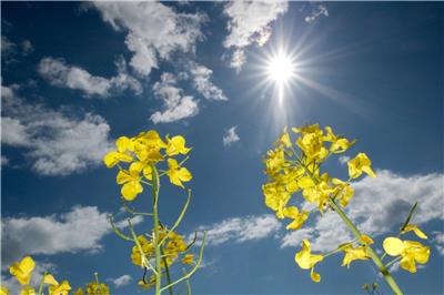 Sonniger Muttertag in Niedersachsen und Bremen erwartet