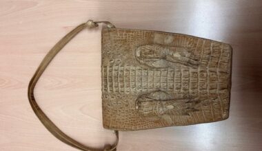 HZA-D: Zoll am Flughafen Düsseldorf findet Handtasche mit Biss / Krokodilhandtasche ...