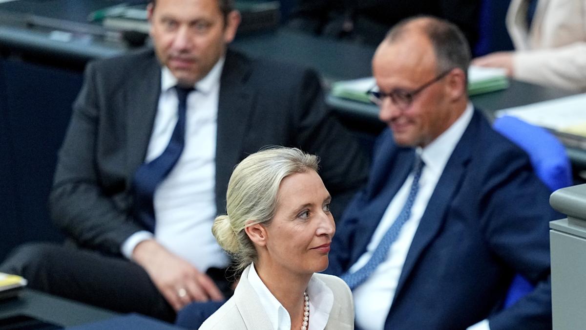 „Insa“-Sonntagstrend: AfD und Union legen in Wählergunst zu, FDP rutscht weiter ab