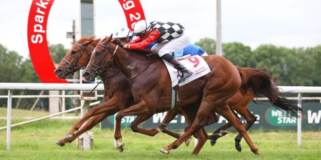 Jockey Rene Piechulek gewinnt bei „Kistenritt“ – MSPW – Media Sportservice