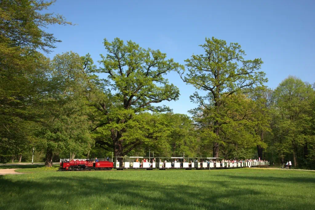 Die Parkeisenbahn Dresden fährt durch den frühlingshaften Großen Garten.