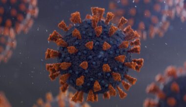 Corona-Ursprung: Wildtierhändler verschleppten das Virus vermutlich über Tausende Kilometer