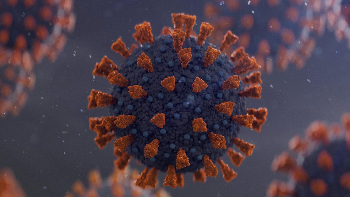 Corona-Ursprung: Wildtierhändler verschleppten das Virus vermutlich über Tausende Kilometer