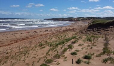 Gemeinsame Pressemitteilung Nr. 028/2025 der Leibniz Universität Hannover und der ...