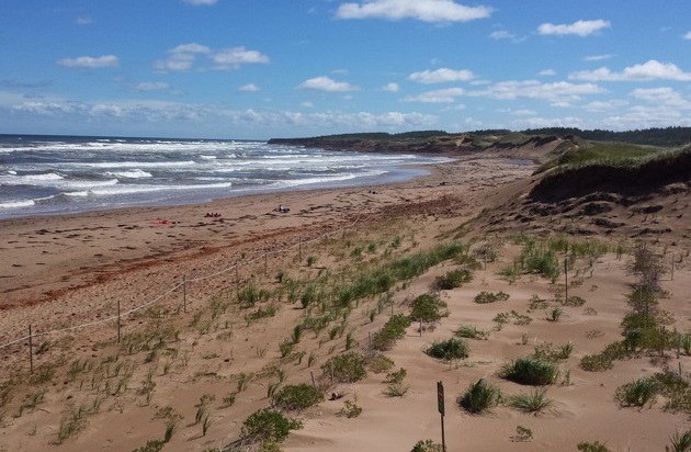 Gemeinsame Pressemitteilung Nr. 028/2025 der Leibniz Universität Hannover und der ...
