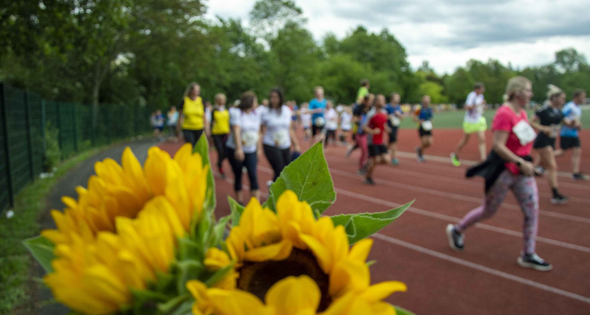 „Laufend gegen Krebs“ am 11. Juni 2025 in Chemnitz, Sächsische Krebsgesellschaft e.V., Story