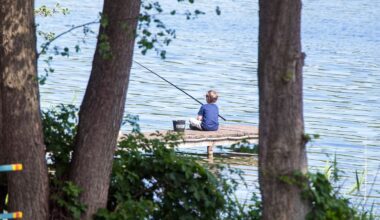 Berlin & Brandenburg: Verband: immer mehr Angler in Brandenburg