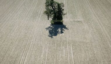 Niedersachsen & Bremen: Frühjahr in Niedersachsen deutlich zu warm und trocken