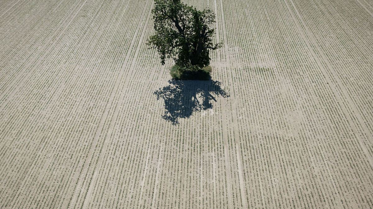 Niedersachsen & Bremen: Frühjahr in Niedersachsen deutlich zu warm und trocken
