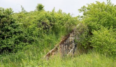 Rheinland-Pfalz & Saarland: Von US-Militärs und Natur: Audioguide für Ober-Olmer Wald
