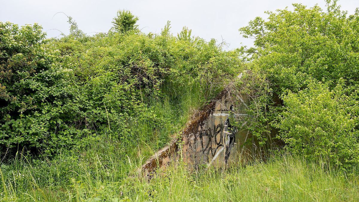 Rheinland-Pfalz & Saarland: Von US-Militärs und Natur: Audioguide für Ober-Olmer Wald