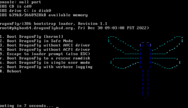 Es lebt! Dragonfly BSD 6.4.1 mit vielen Bugfixes veröffentlicht