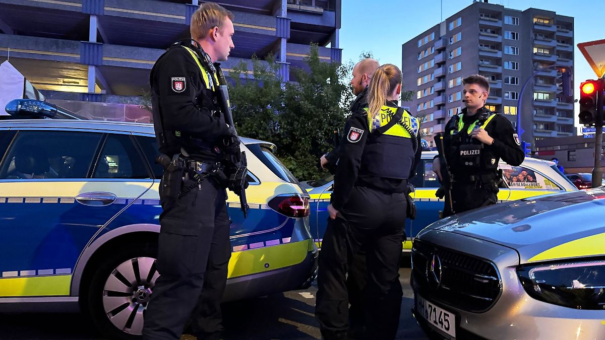 Hamburg & Schleswig-Holstein: Ein Mensch verletzt - Polizeigroßeinsatz in Hamburg