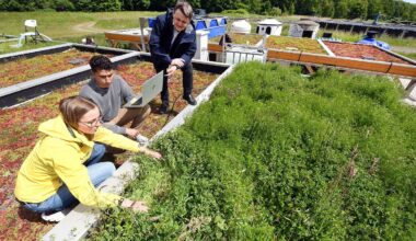 Sachsen: Für besseres Stadtklima - Forscher beregnen Gründächer