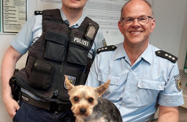 Bundespolizeidirektion München: "Rocky auf Abwegen - Bundespolizei bringt Ausreißer ...