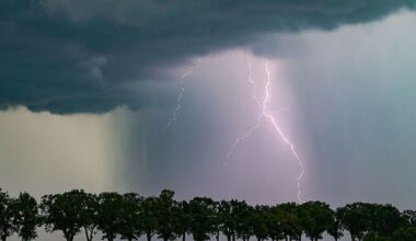 Berlin & Brandenburg: Gewitter, Sturm und orkanartige Böen am Freitag