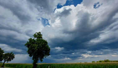 Gewitterwolken über Feld, Baum links im Bild.