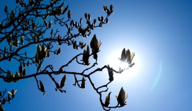 Niedersachsen & Bremen: Viel Sonne zum Wochenstart in Niedersachsen und Bremen