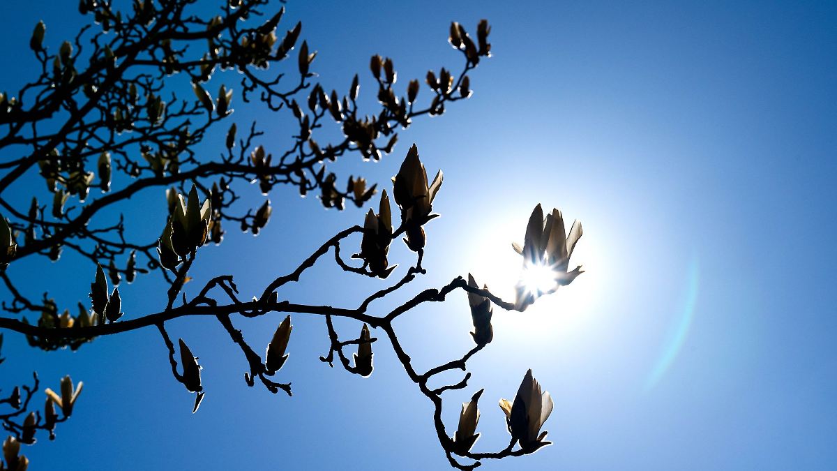 Niedersachsen & Bremen: Viel Sonne zum Wochenstart in Niedersachsen und Bremen