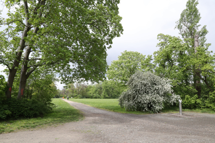 Stadt startet Konzeptverfahren für Sportplatz im Mariannenpark · Leipziger Zeitung