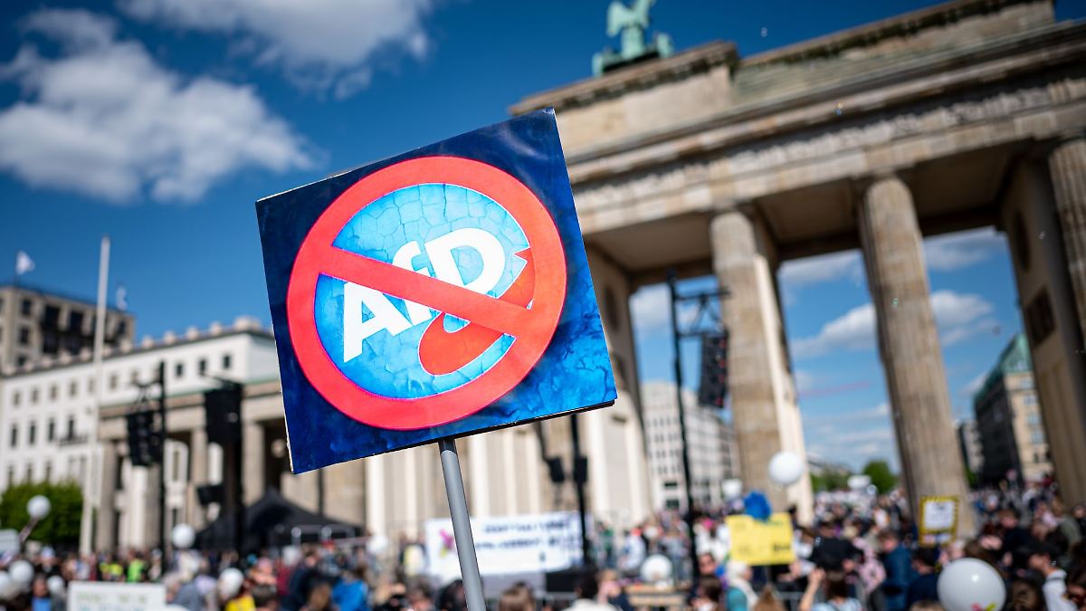 Berlin & Brandenburg: Mehrere tausend Menschen demonstrieren in Berlin gegen AfD