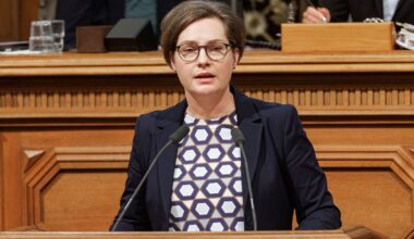 Hamburg & Schleswig-Holstein: Ruf nach AfD-Verbotsverfahren wird nach Einstufung lauter
