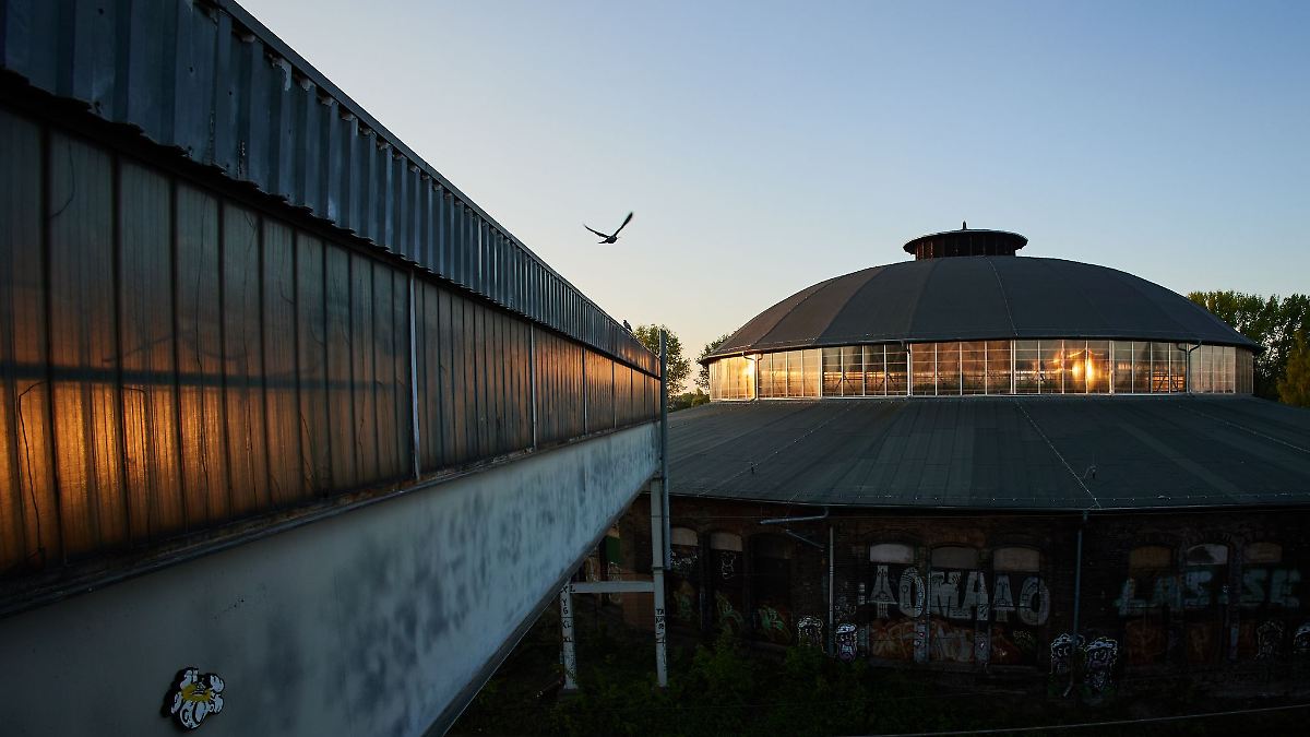 Berlin & Brandenburg: Nachtigall, Schwalbe und Kuckuck schon in Berlin zurück